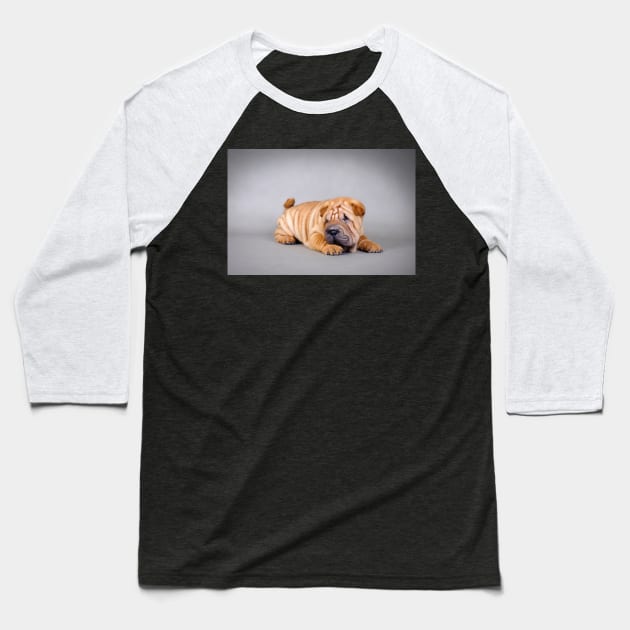 Shar pei puppy Baseball T-Shirt by PetsArt